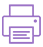 Print Icon